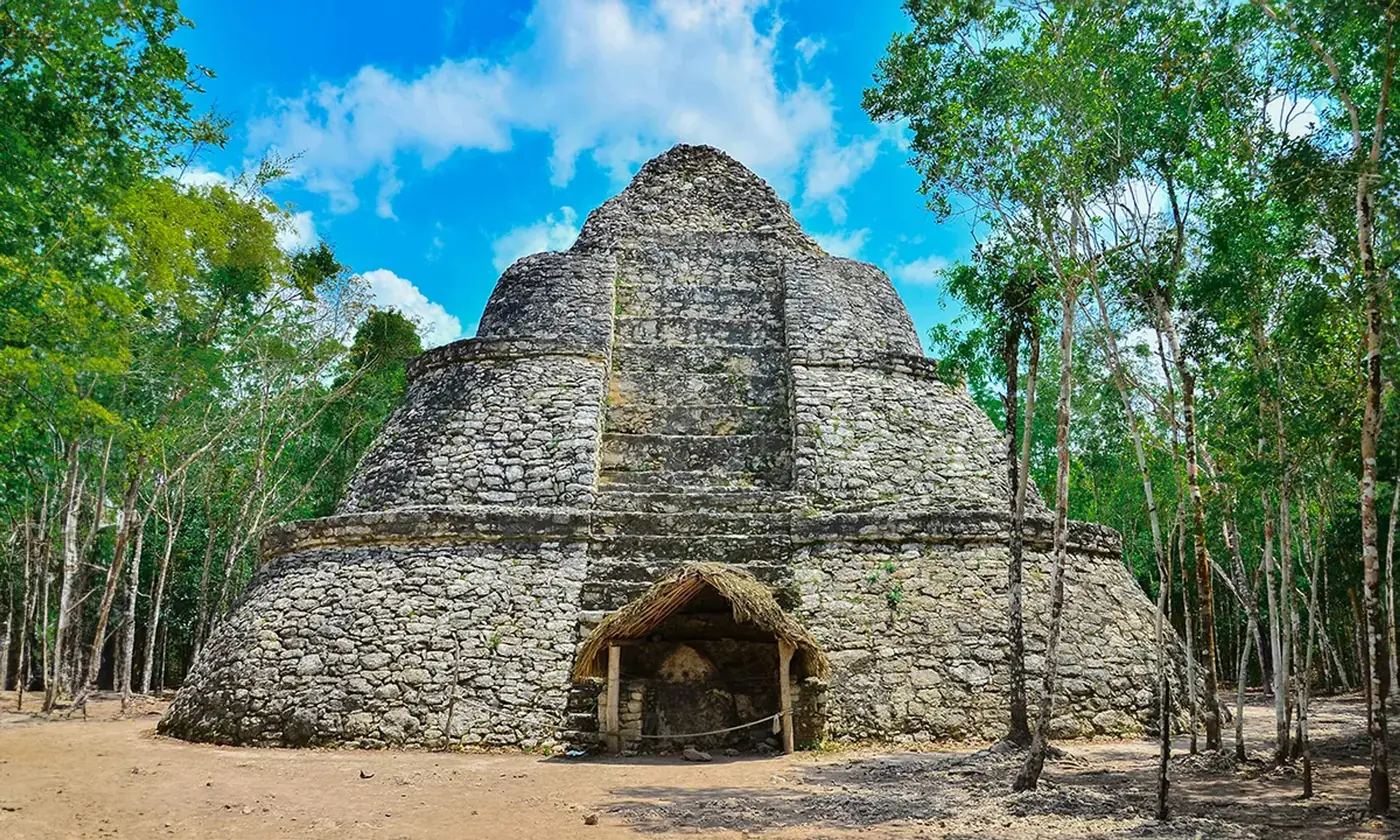 Cobá